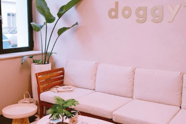 Doggy’s Hôtel Canin – Pension pour chien à Vincennes / Paris | Crèche & soins premium
