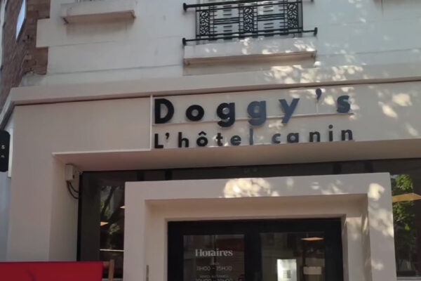 Doggy’s Hôtel Canin – Pension pour chien à Vincennes / Paris | Crèche & soins premium