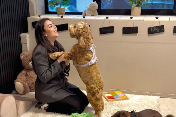 Doggy’s Hôtel Canin – Pension pour chien à Vincennes / Paris | Crèche & soins premium